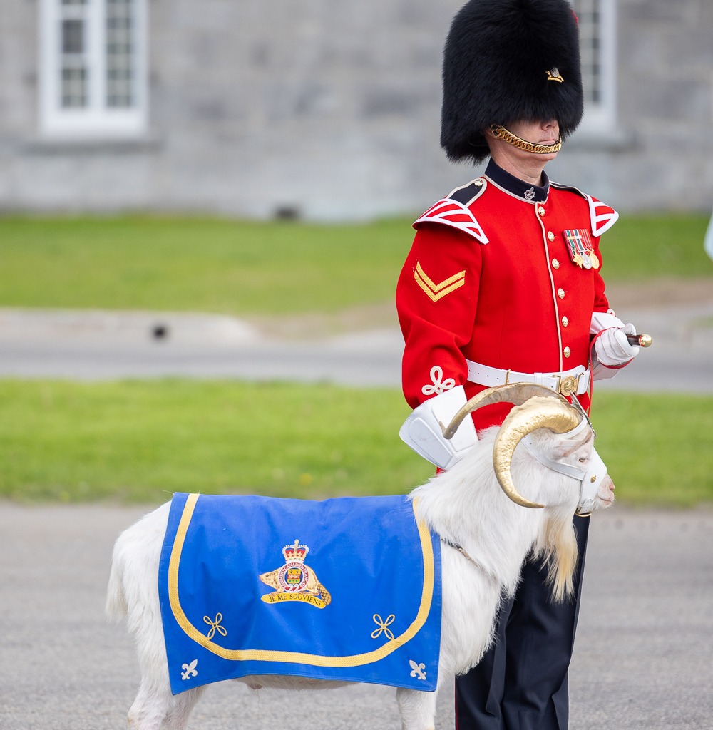 Centraide de Québec 2024_Fondation - Citadelle de Québec